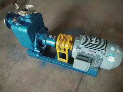 上(shàng)海不鏽鋼自(zì)吸泵