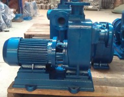 上海自吸(xī)泵